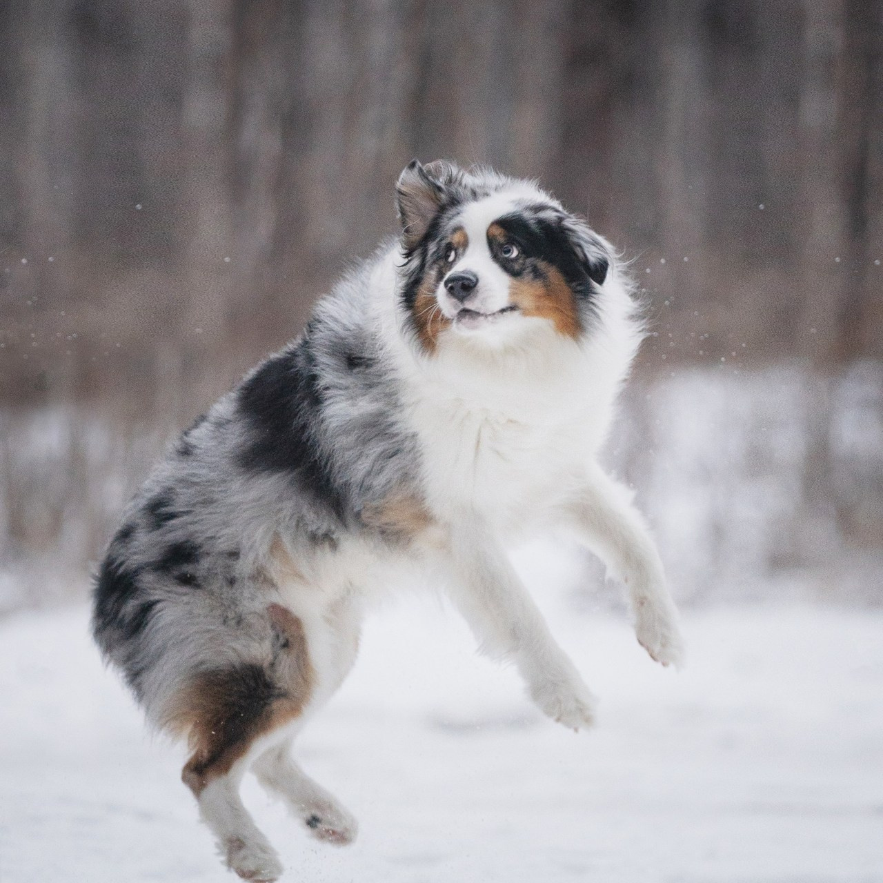 Отзывы. Kameramotor74