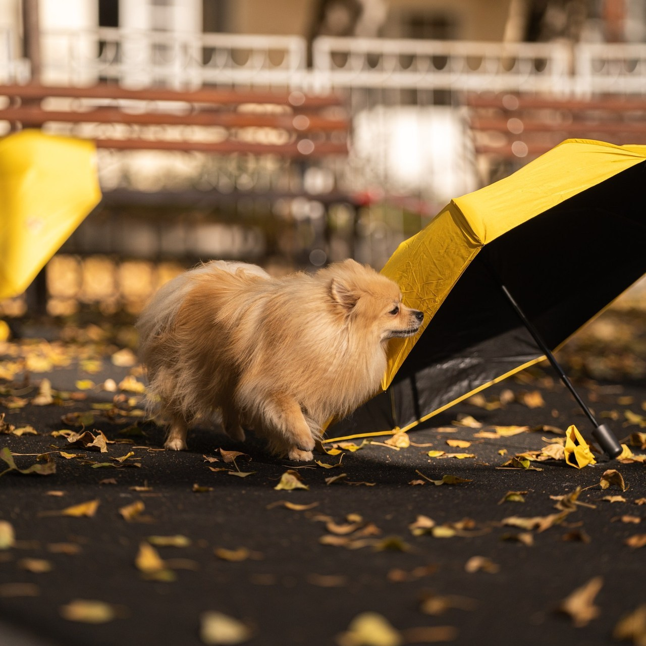 Отзывы. Kameramotor74