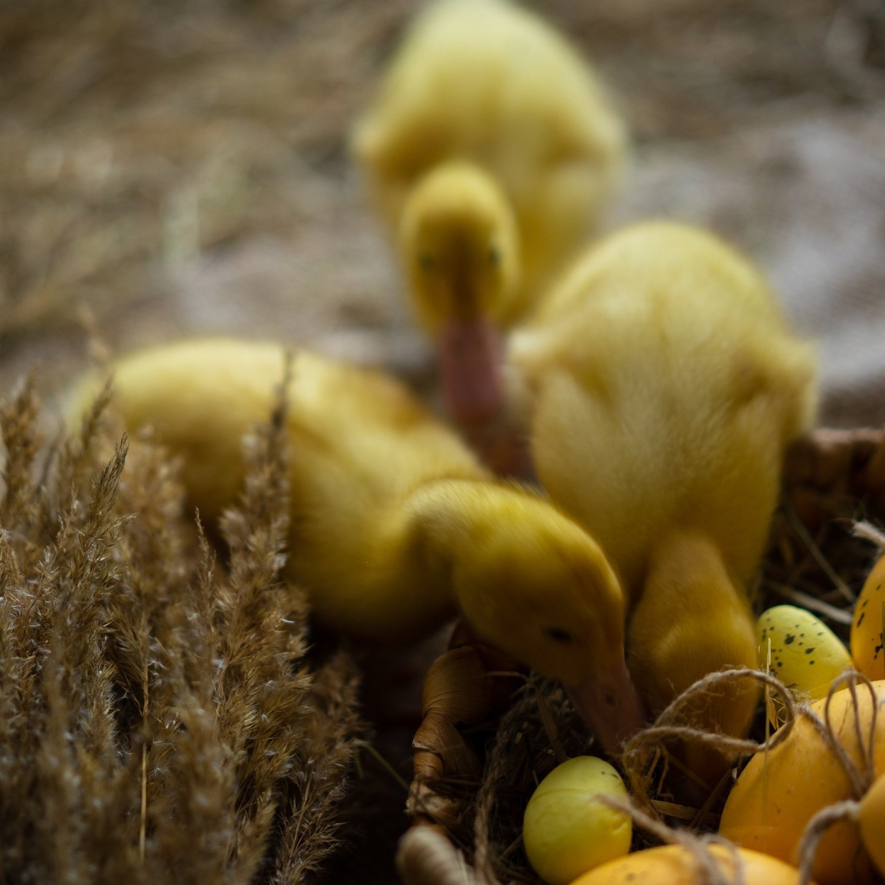 Отзывы. Семейный фотограф, love story, индивидуальная фотосессия в г. Сургуте