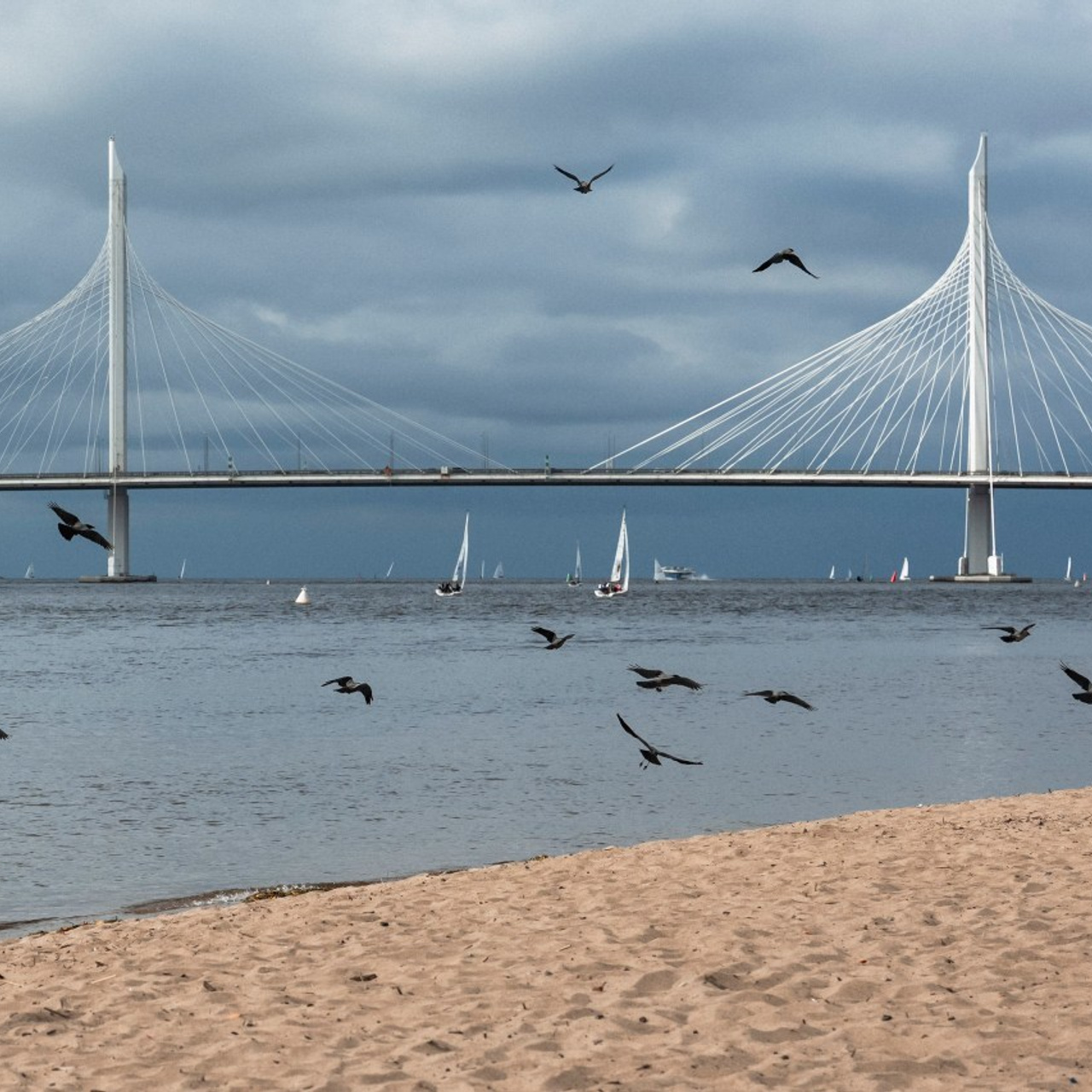 Отзывы. Репортажный фотограф. Москва