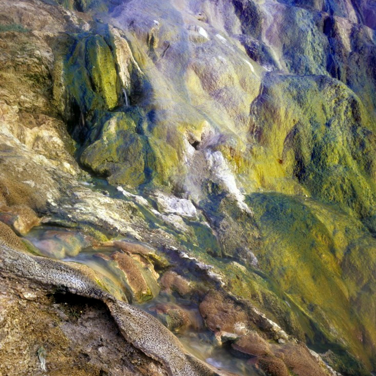 Камчатка. Долина гейзеров