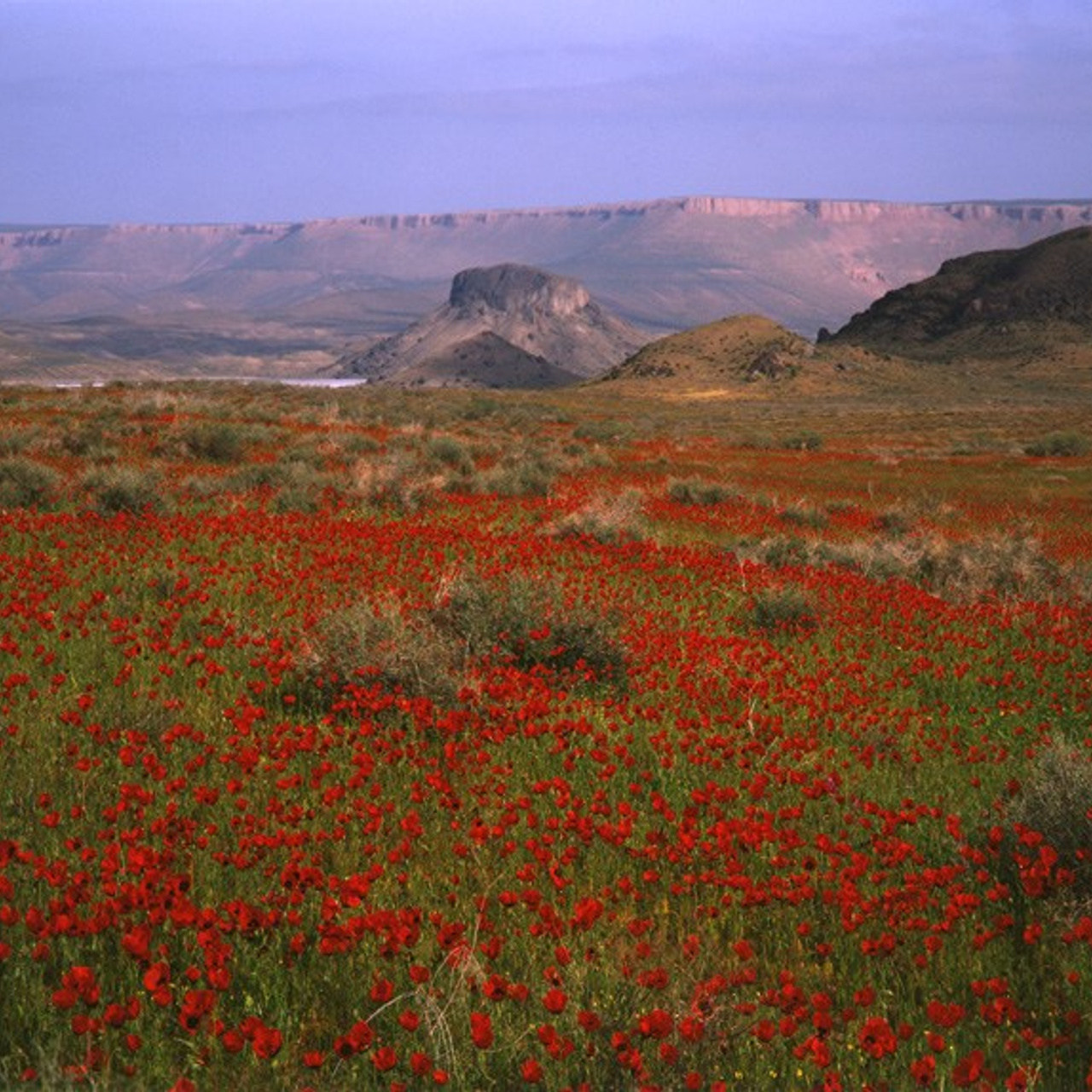 Туркмения природа