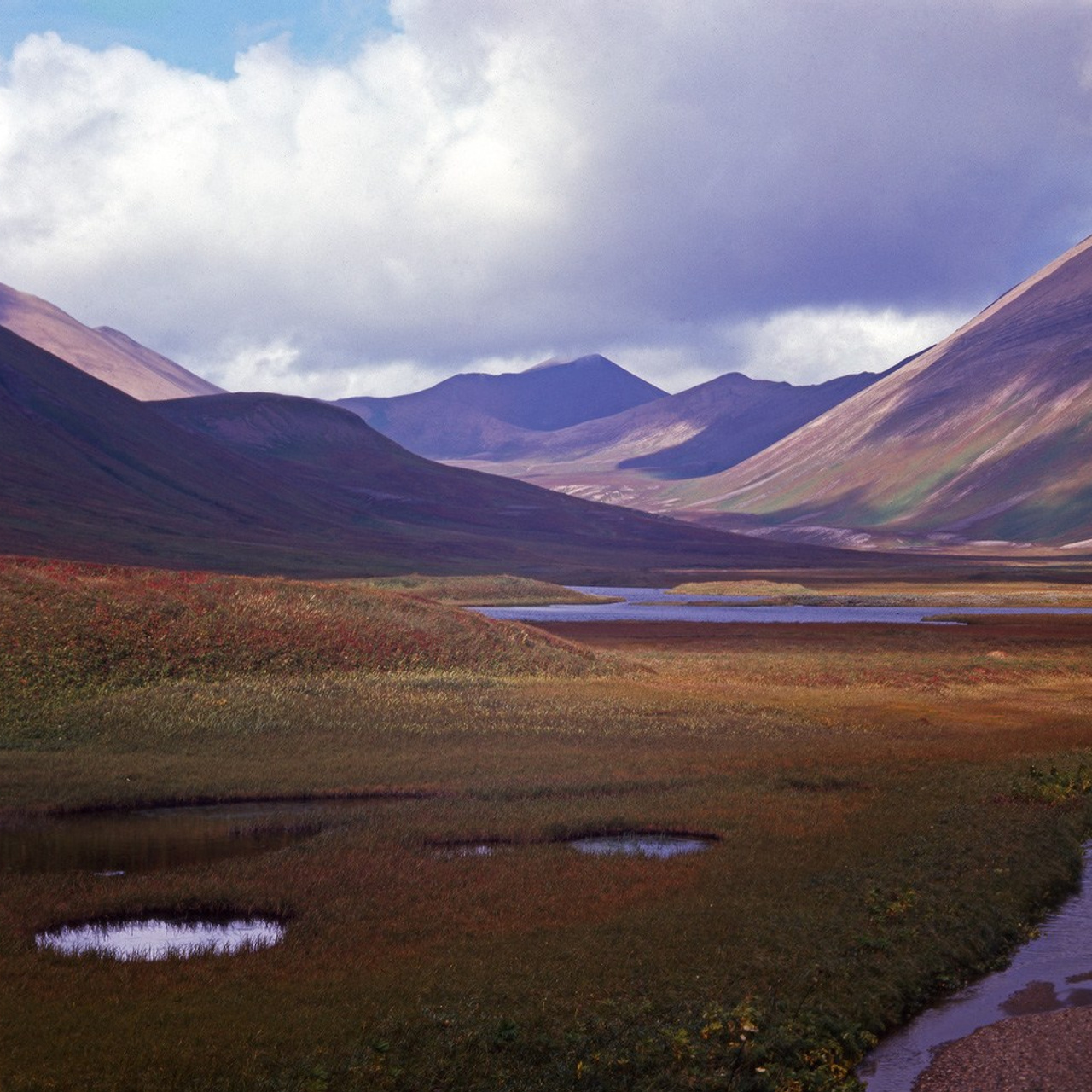Командорские острова