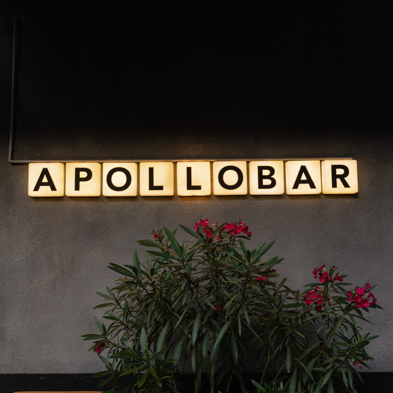 Отзывы. Фотограф Краснодар Юлия Бураченко Свадьбы Репортаж Семейные Индивидуальные съемки