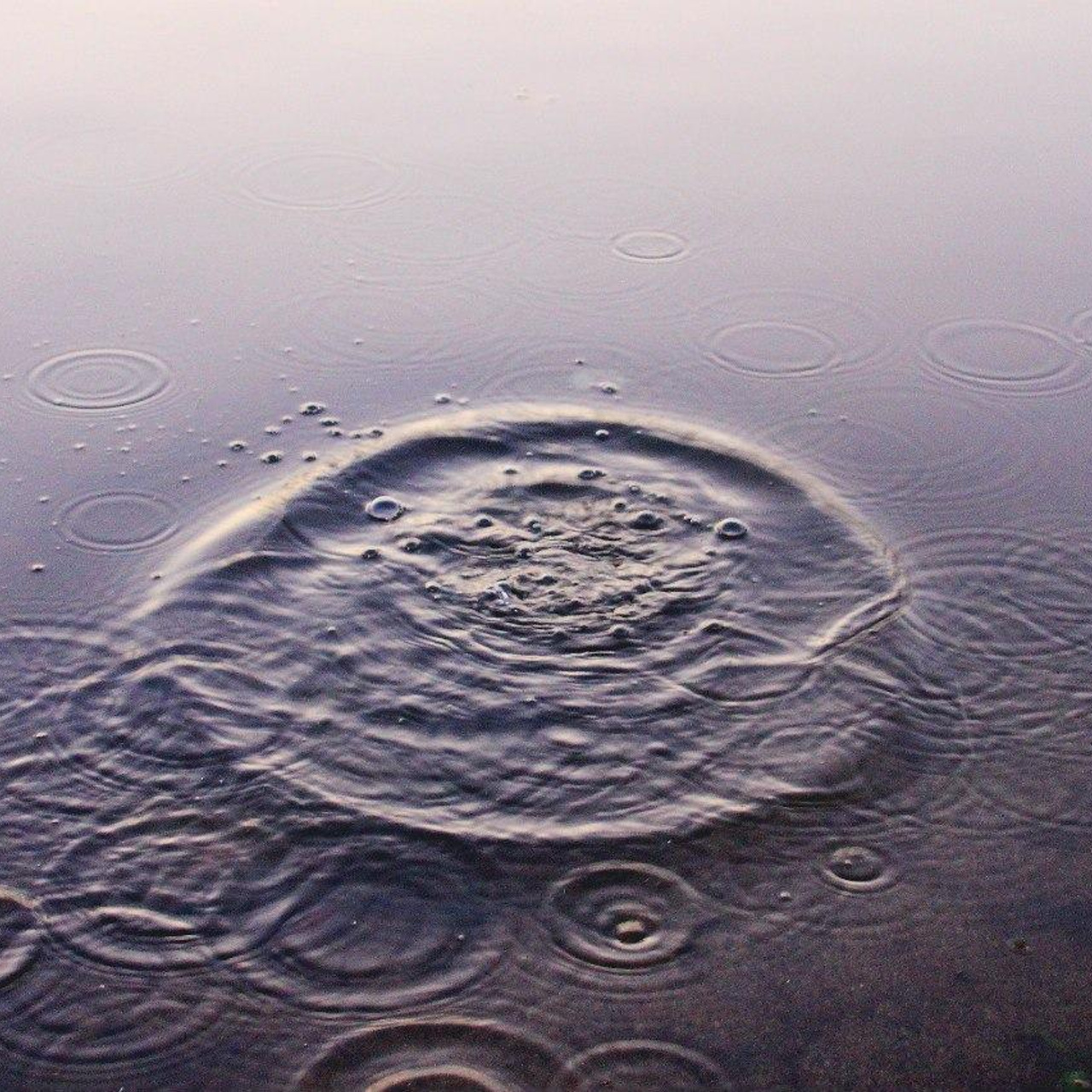 Это круги на моей воде