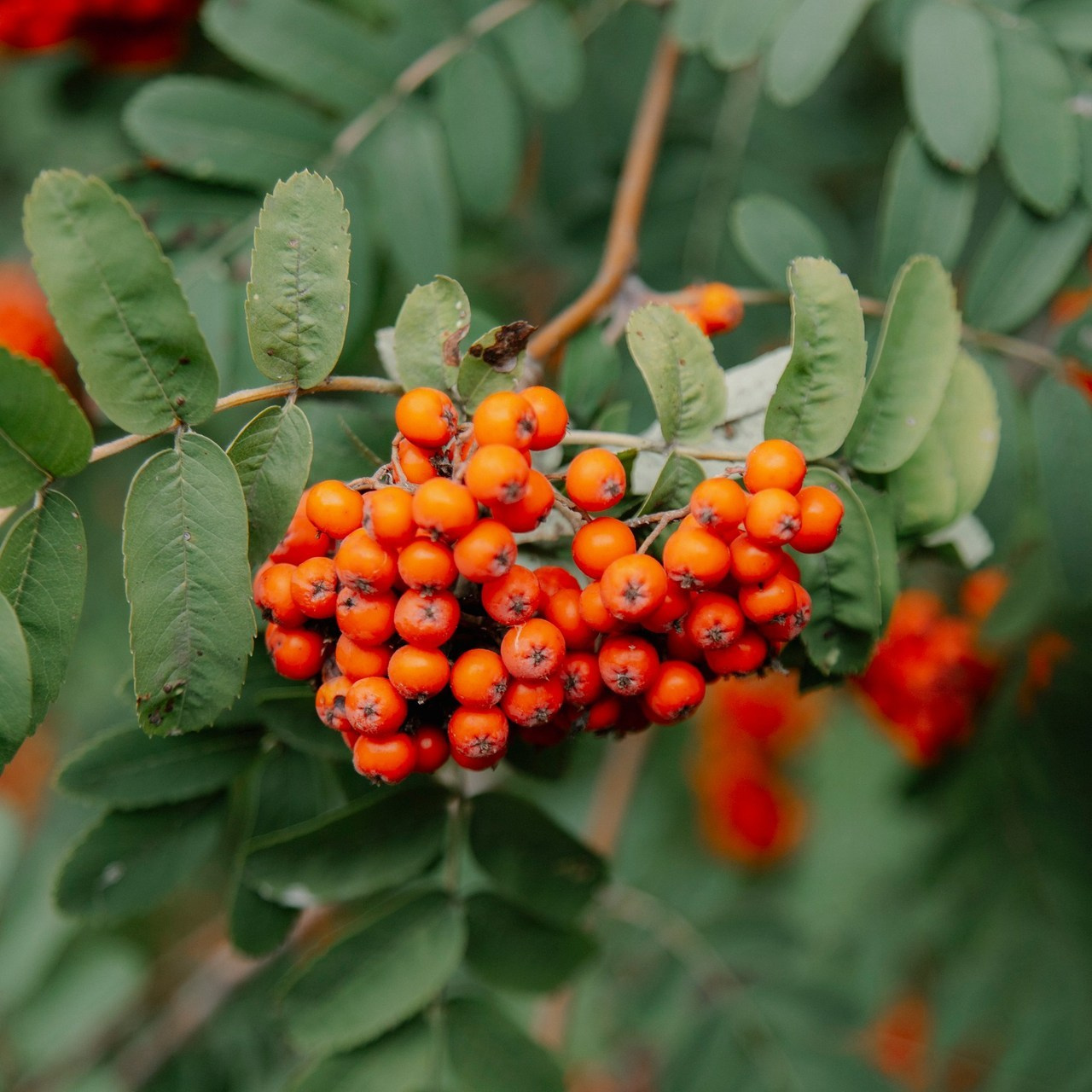 Отзывы. Диас Жамульдинов