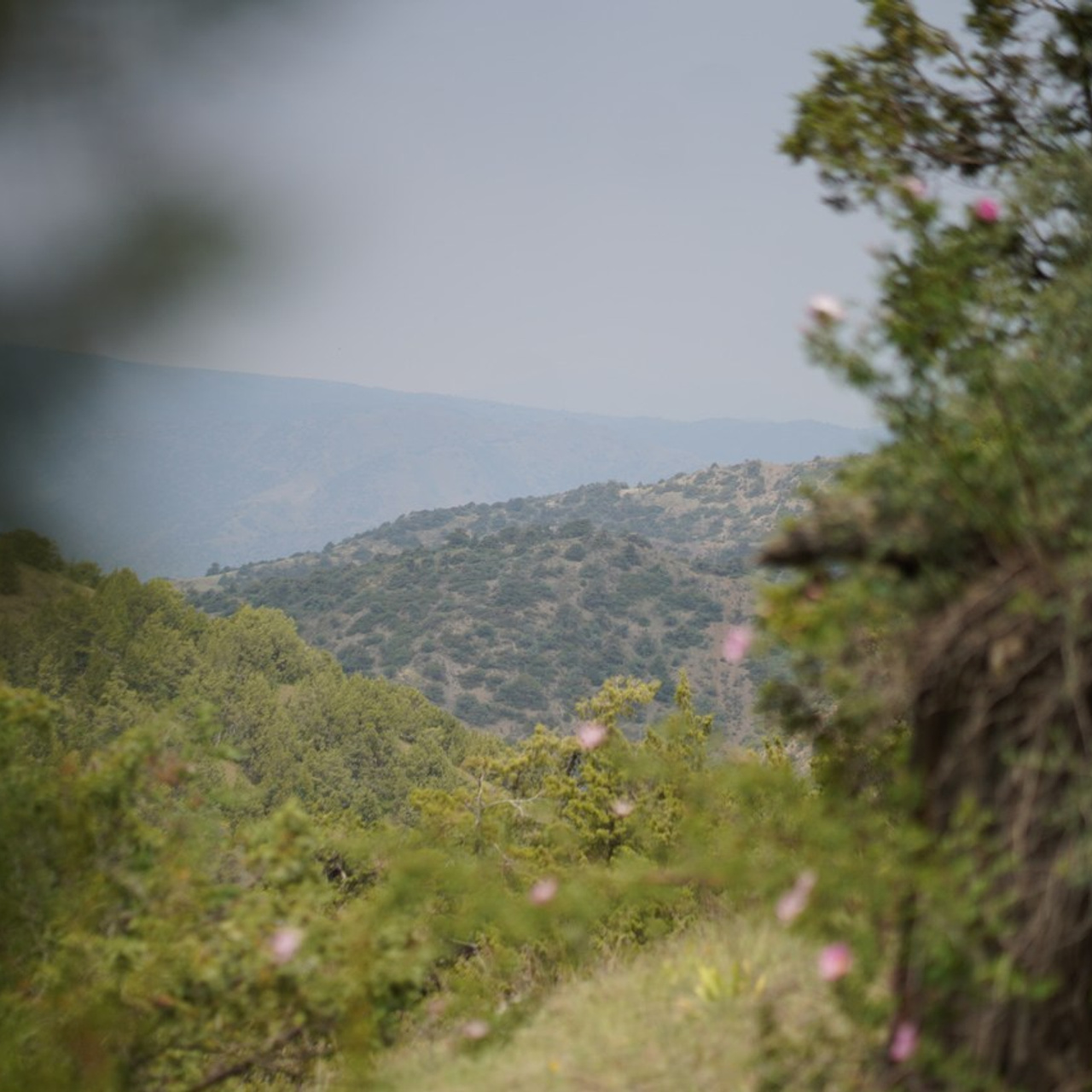 Отзывы. Фотограф, эмпат, телесный терапевт в Москве Ольга Трушина