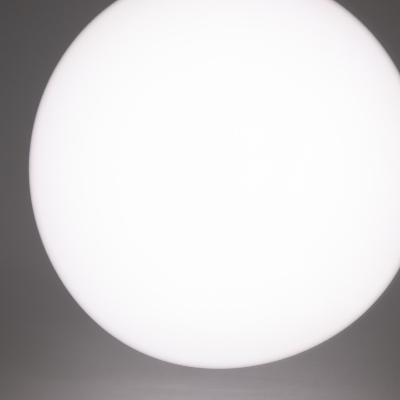 Отзывы. Фотограф Мартакова Мила