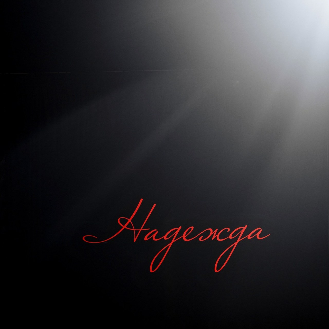 Отзывы. Zhulanovilya