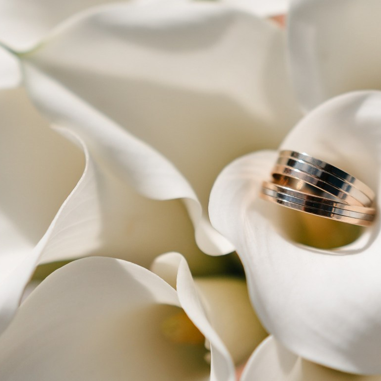 Отзывы. Свадебный и семейный фотограф в Самаре Алёна Савельева