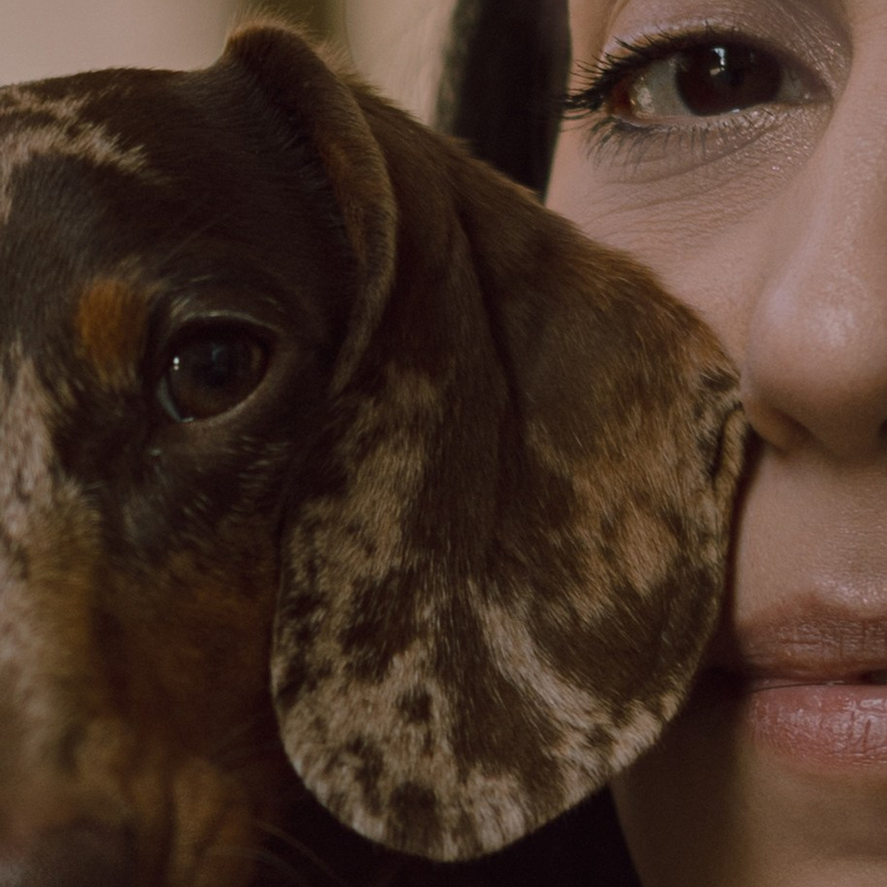 Отзывы. Фотограф — анималист •love-story•|Санкт-Петербург