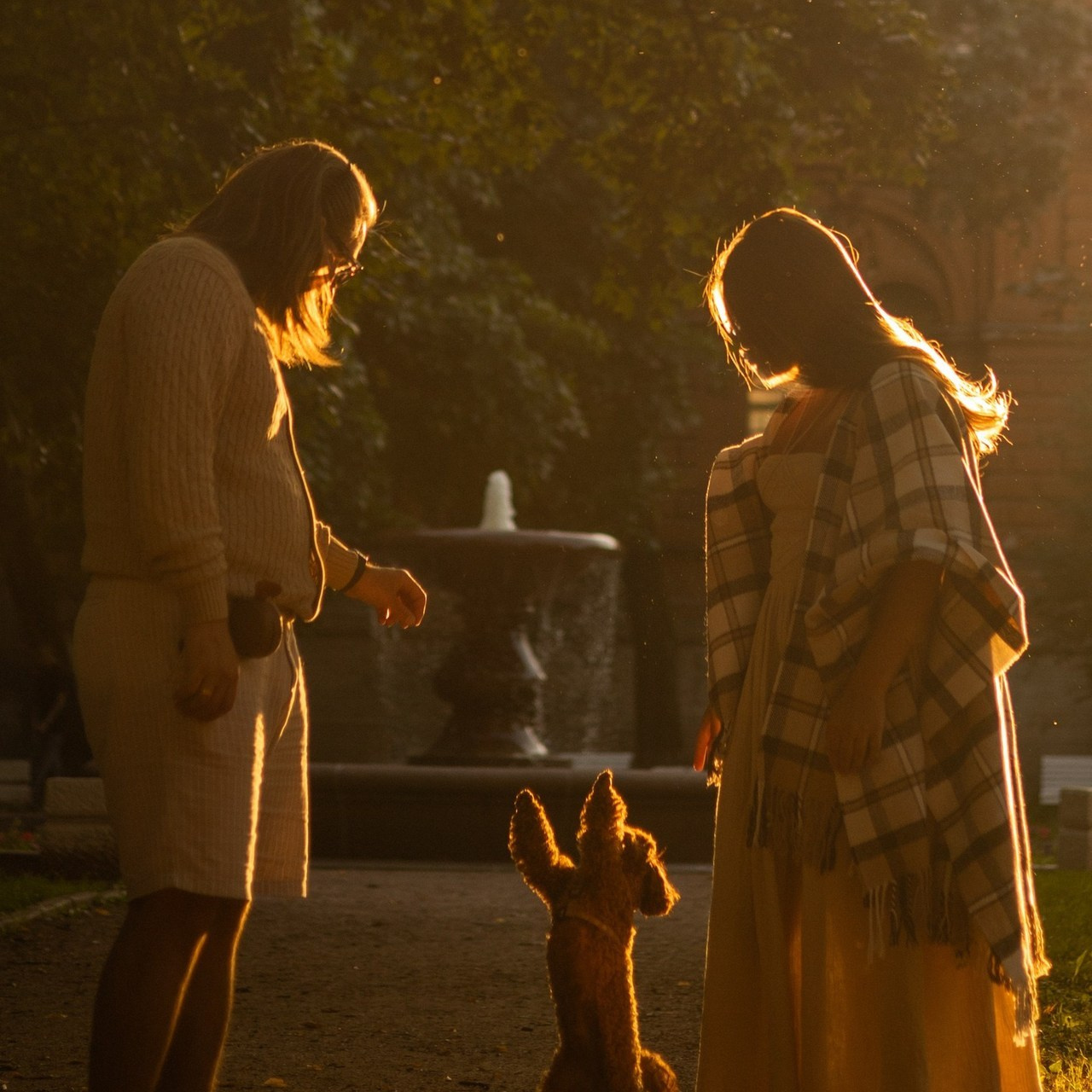 Отзывы. Фотограф — анималист •love-story•|Санкт-Петербург