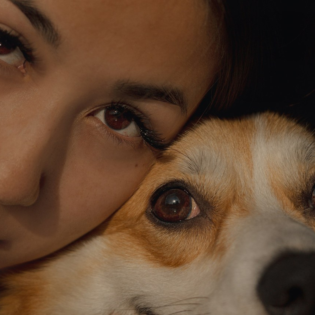 Отзывы. Фотограф — анималист •love-story•|Санкт-Петербург