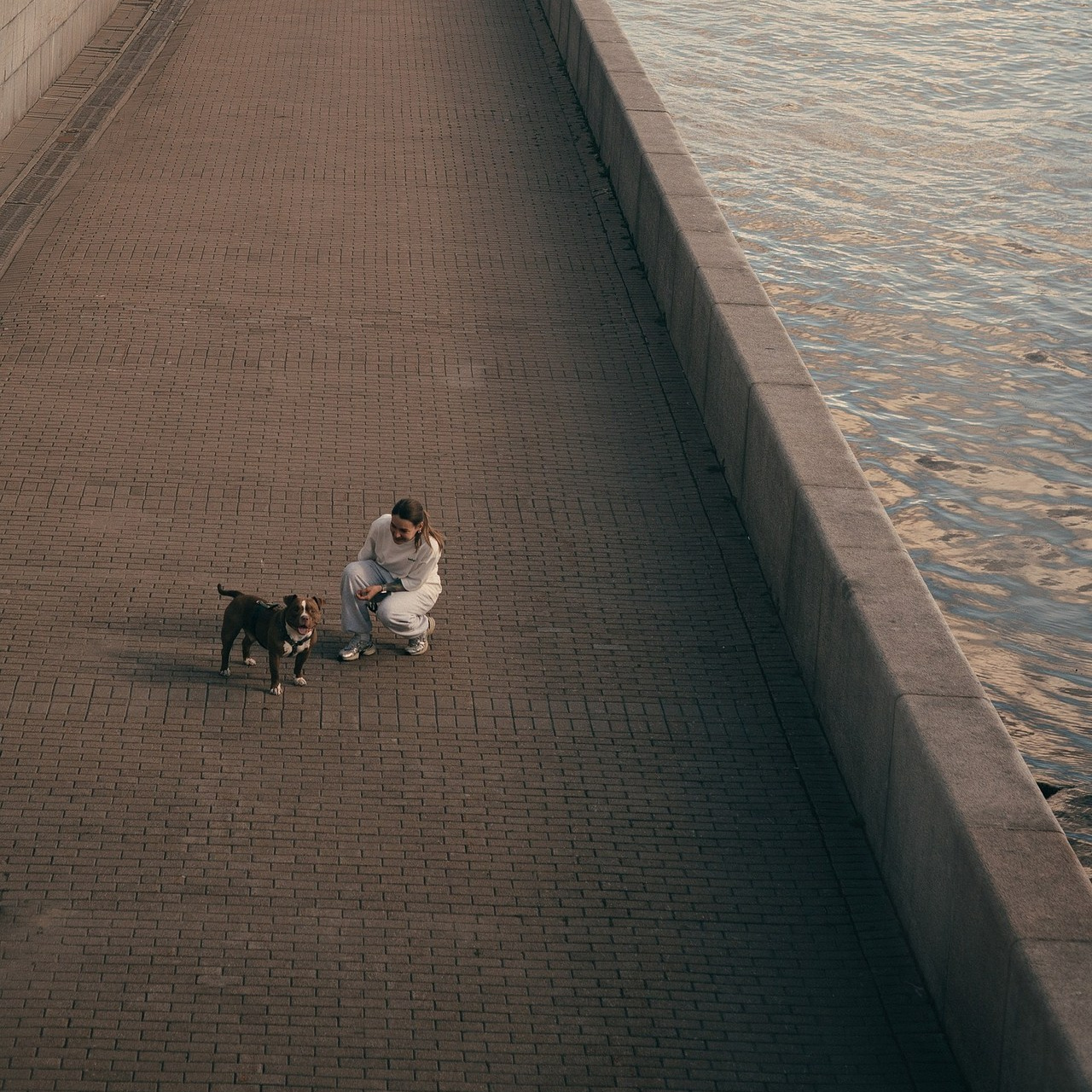 Отзывы. Фотограф — анималист •love-story•|Санкт-Петербург