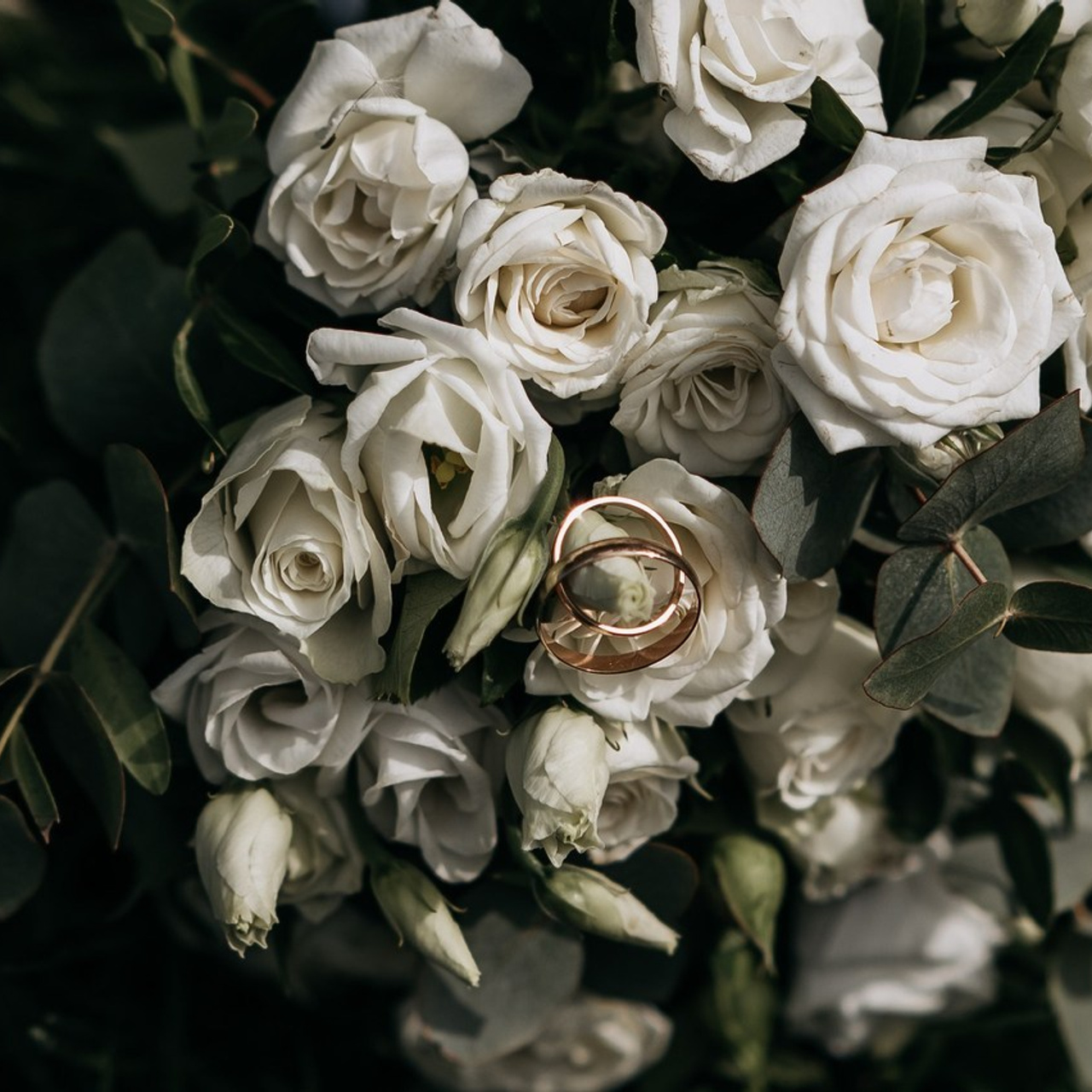 Отзывы. Фотограф Екатерина Бочарникова