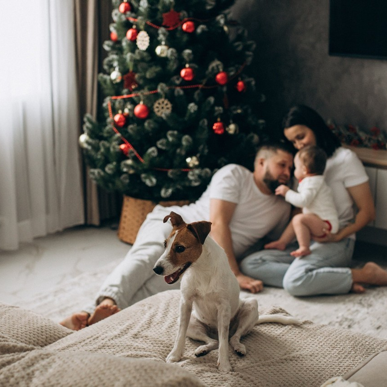 Отзывы. Портретный и репортажный фотограф в г. Казань Мария Малаева