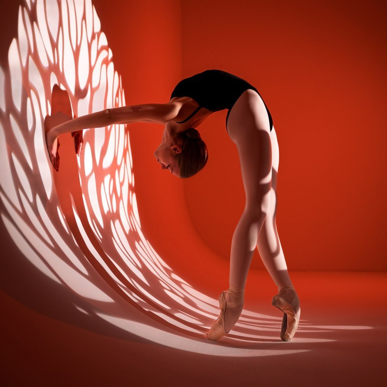 Балетный фотограф Алина Ханько. Отзывы. Балетный фотограф Алина Ханько — Душа Балета