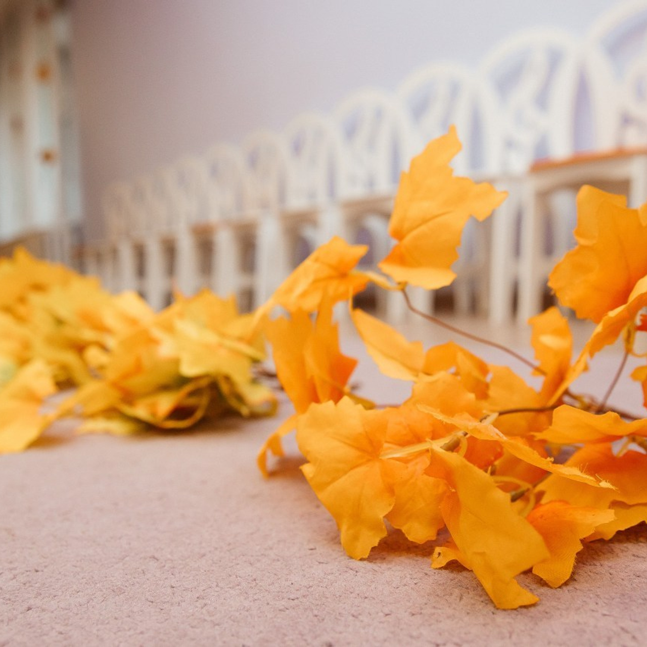 Отзывы. Семейный и детский фотограф. Москва. Пронина Тома