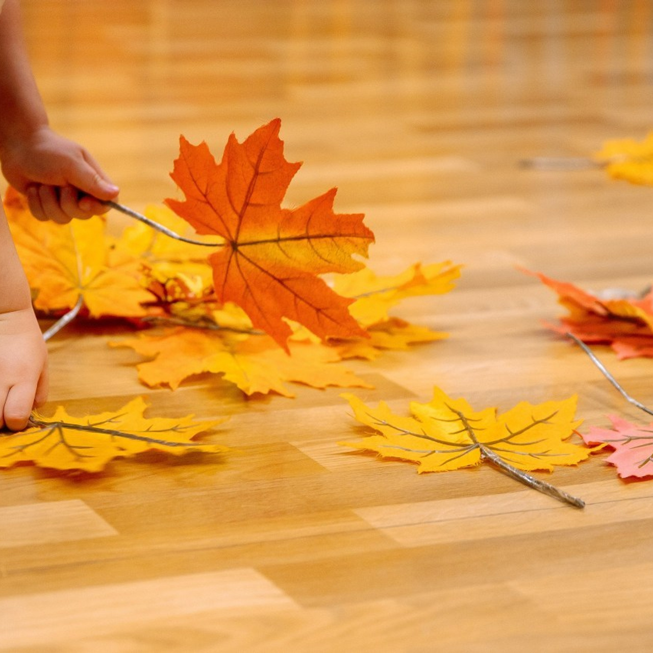 Отзывы. Семейный и детский фотограф. Москва. Пронина Тома