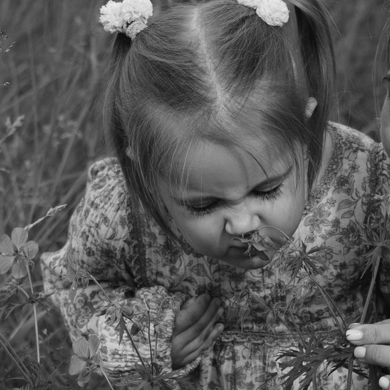 Семейная. Стеша и её родители. Василиса Судзиловская фотограф в Красноярске