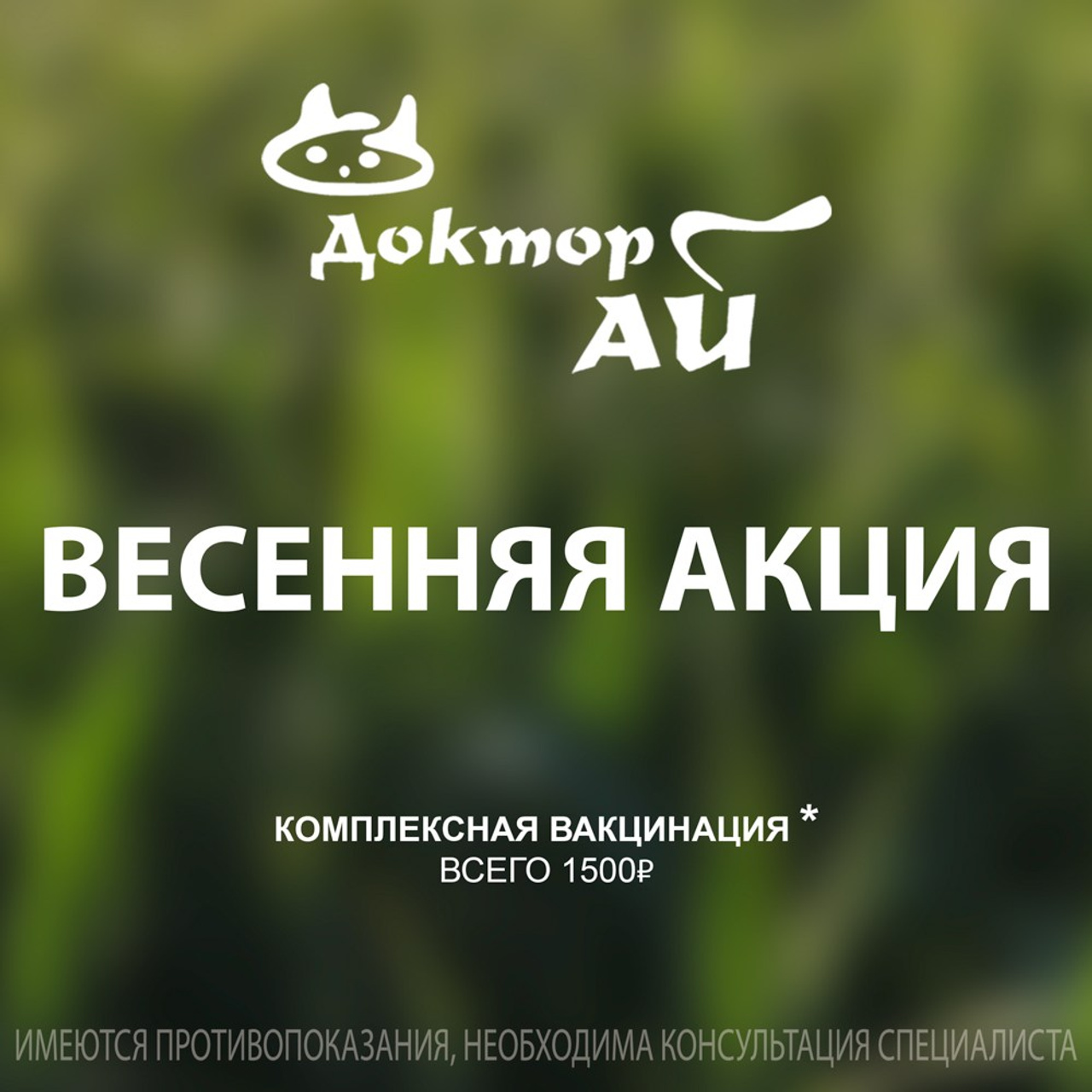 Ветеринарная клиника «Доктор Ай» | Королев