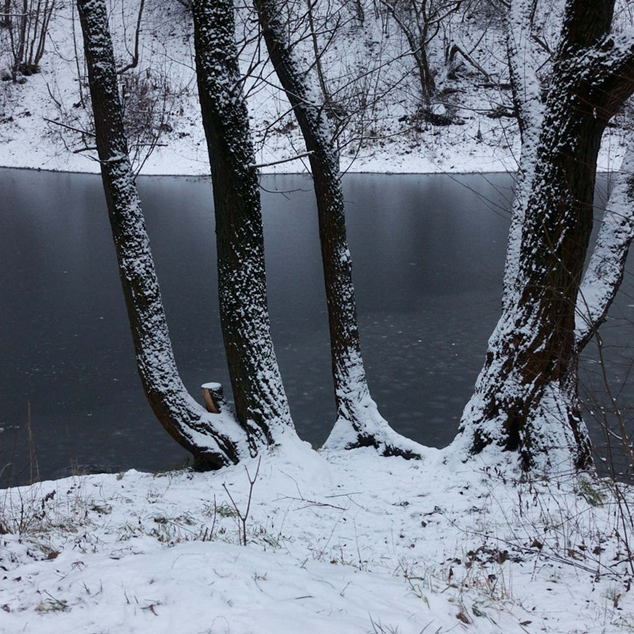 12/12. Иван Кобяков