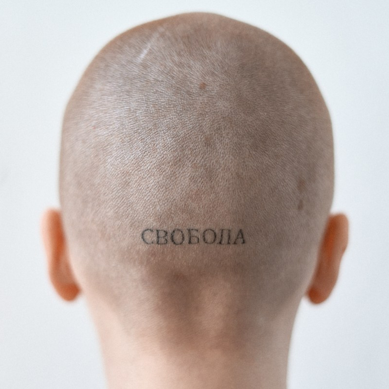 Варя, портреты. Иван Кобяков