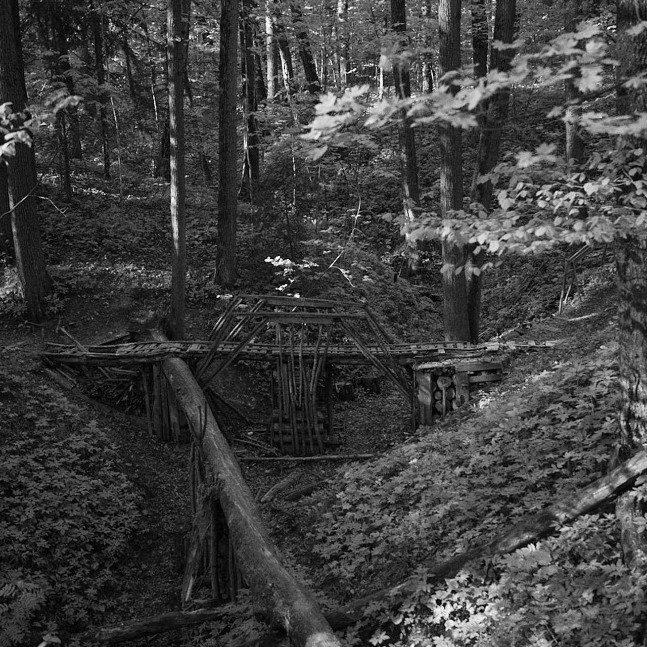 Лена, майские 2025. Иван Кобяков