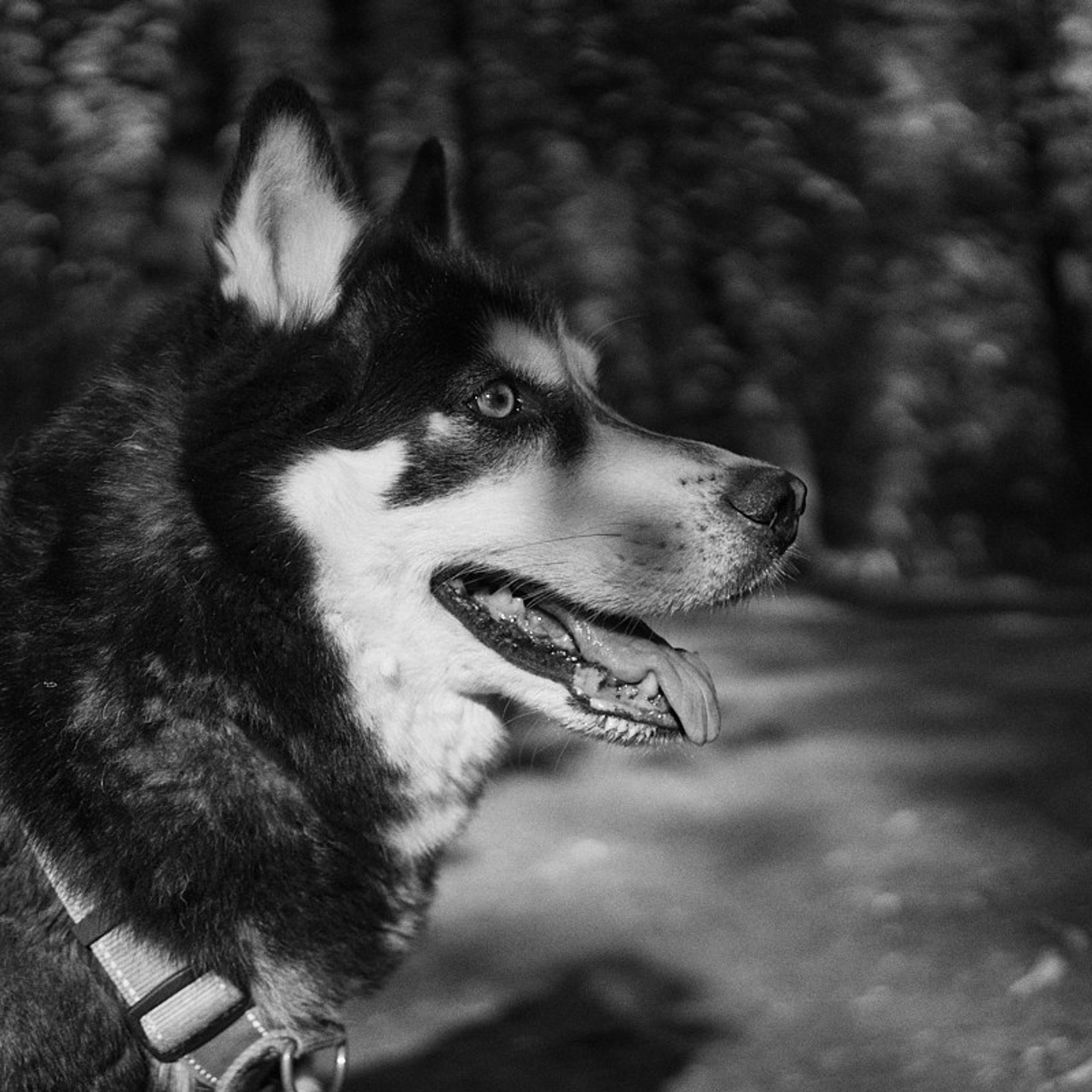 Лена, майские 2025. Иван Кобяков