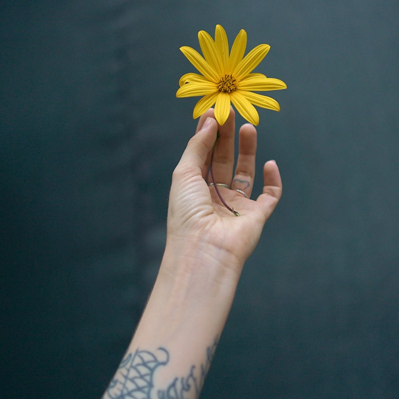 Кристина. Иван Кобяков