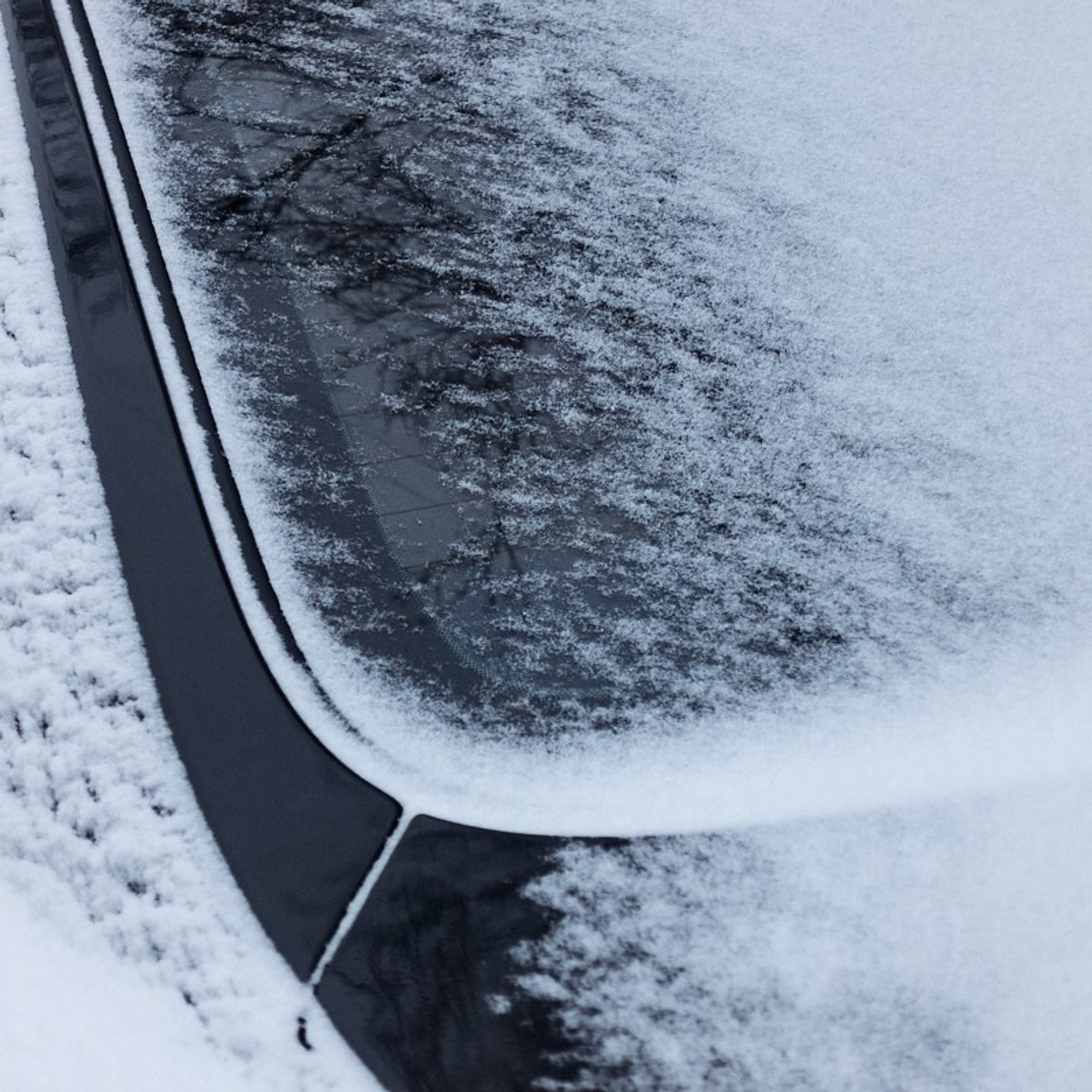 12/12. Иван Кобяков