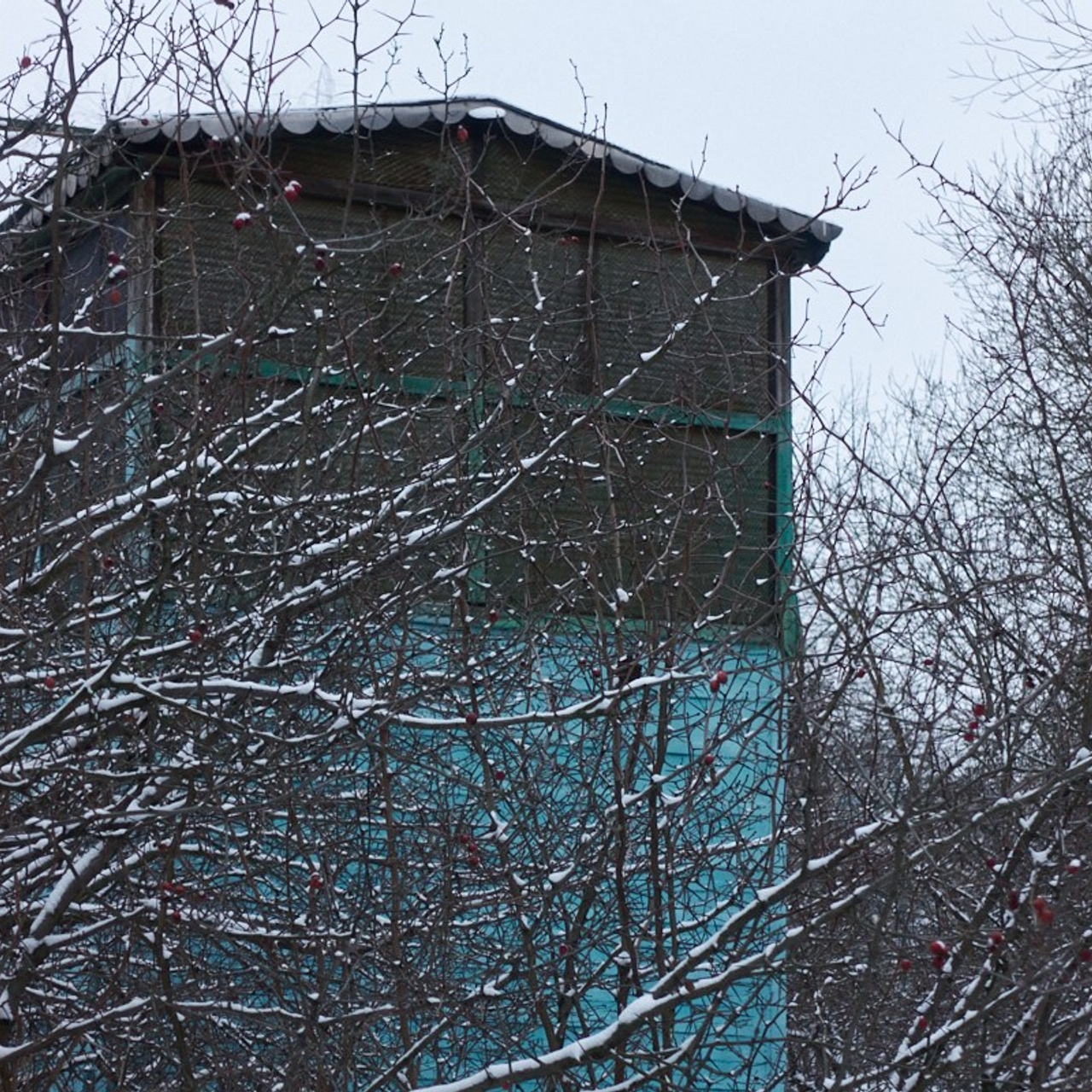 12/12. Иван Кобяков