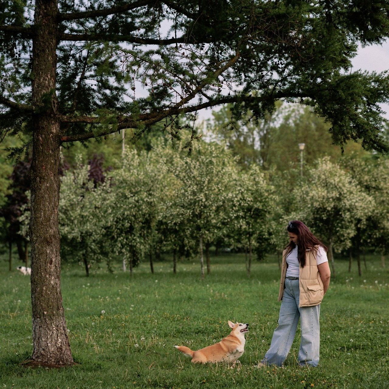 Отзывы. Фотограф в Санкт-Петербурге Алёна Губинская