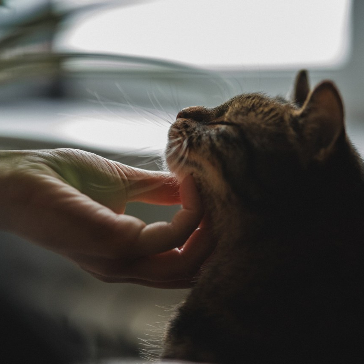 Отзывы. Фотограф в Санкт-Петербурге Алёна Губинская