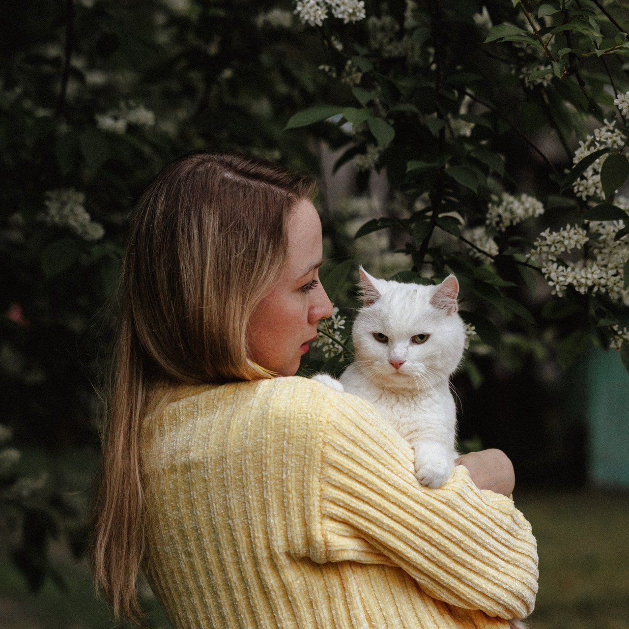 Отзывы. Фотограф в Санкт-Петербурге Алёна Губинская