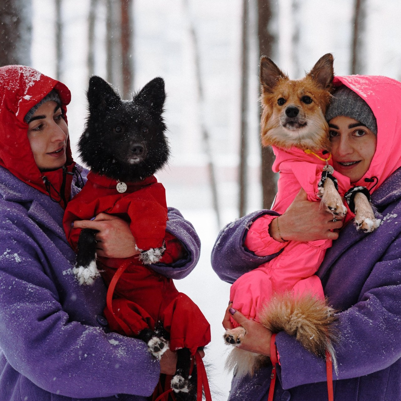 Отзывы. Фотограф в Санкт-Петербурге Алёна Губинская