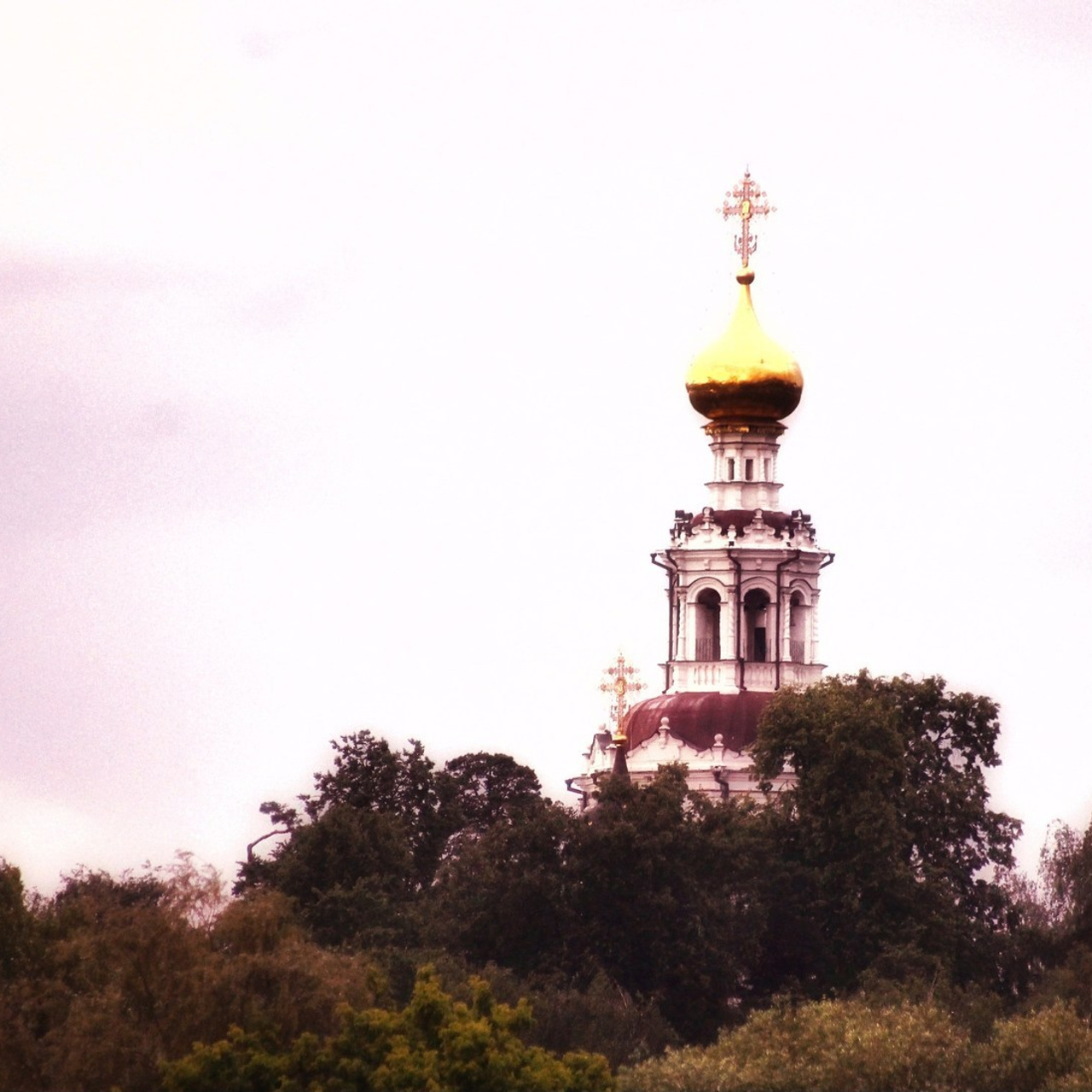 Отзывы клиентов. Репортажный фотограф Константинов Сергей