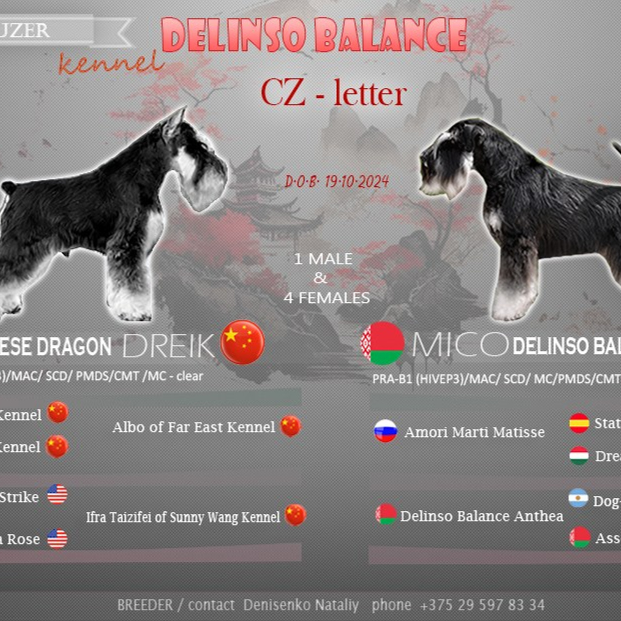 Litter «CZ» 19.10.2024