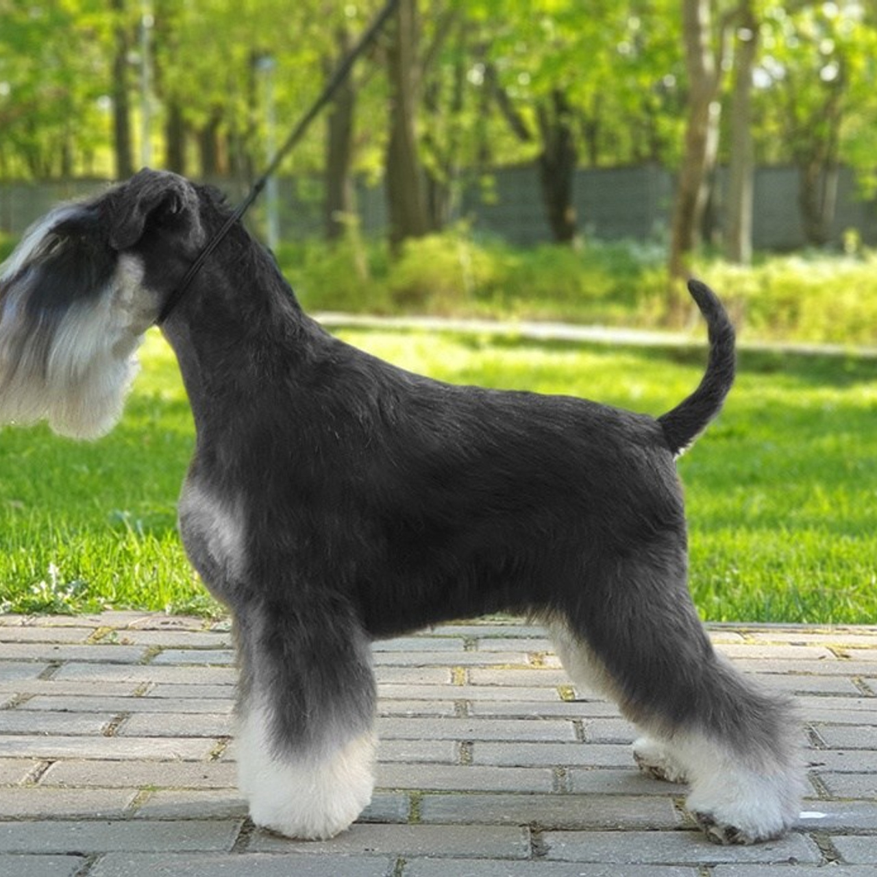 Леся/Delinso Balance Lesley-Ann Brandt