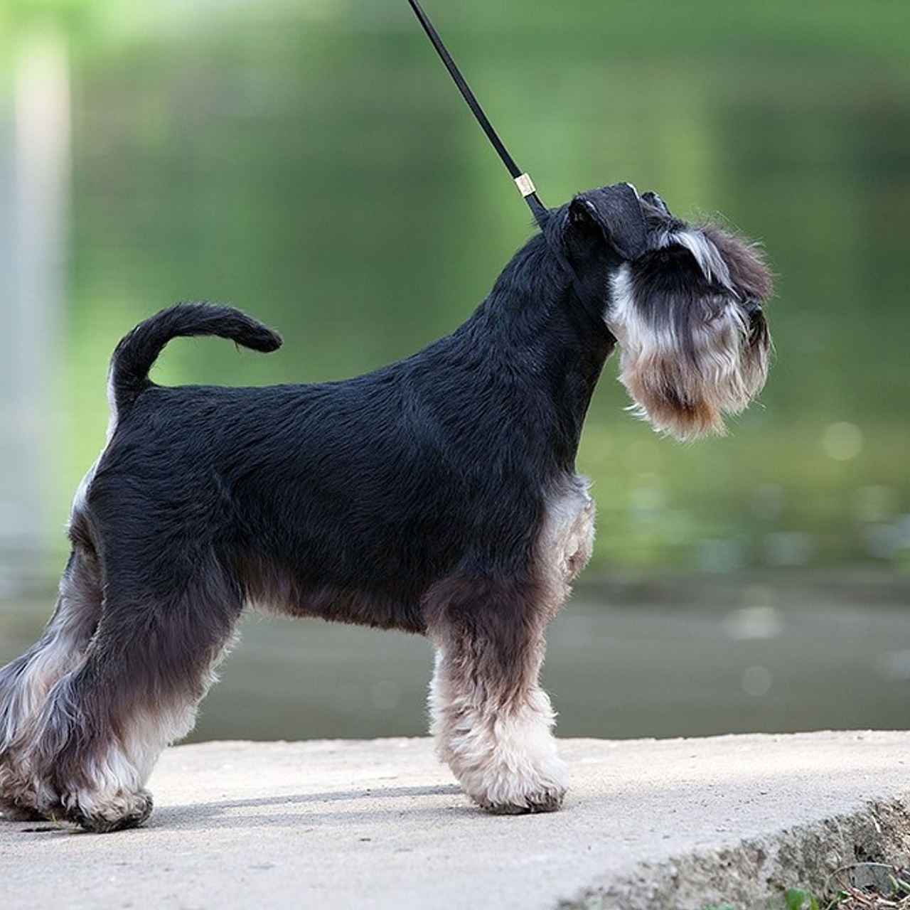 Леля/Asson Ari Unara Valeri