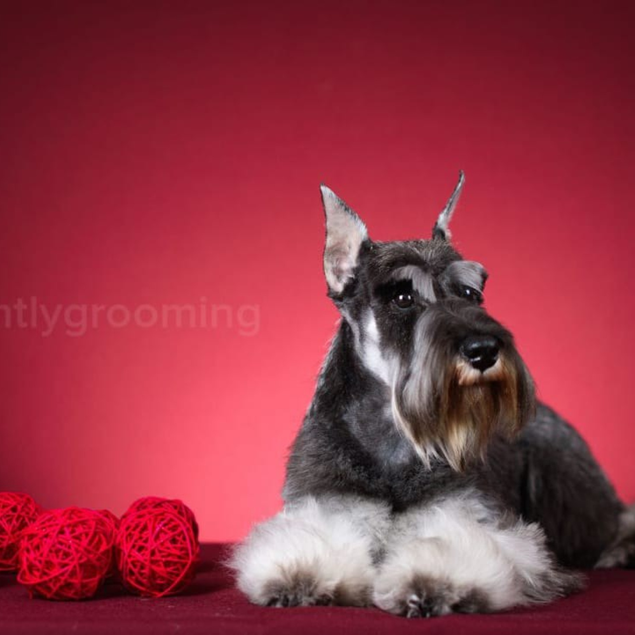 Армина/ Delinso Balance May-Armina