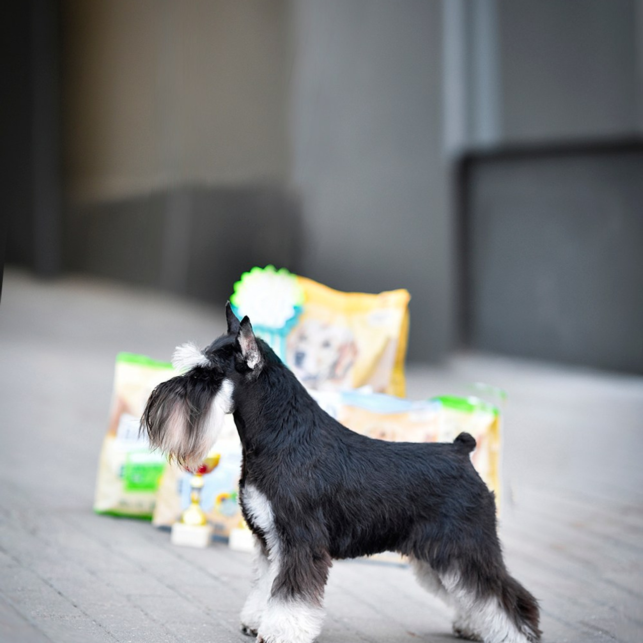 Глаша/ Delinso Balance Oglaya Mistress