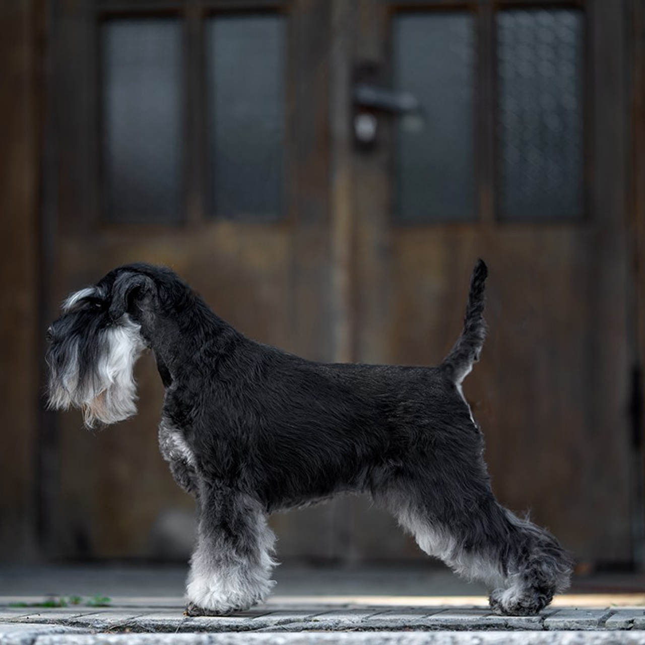 Мико/ Delinso Balance Emiko Akemi