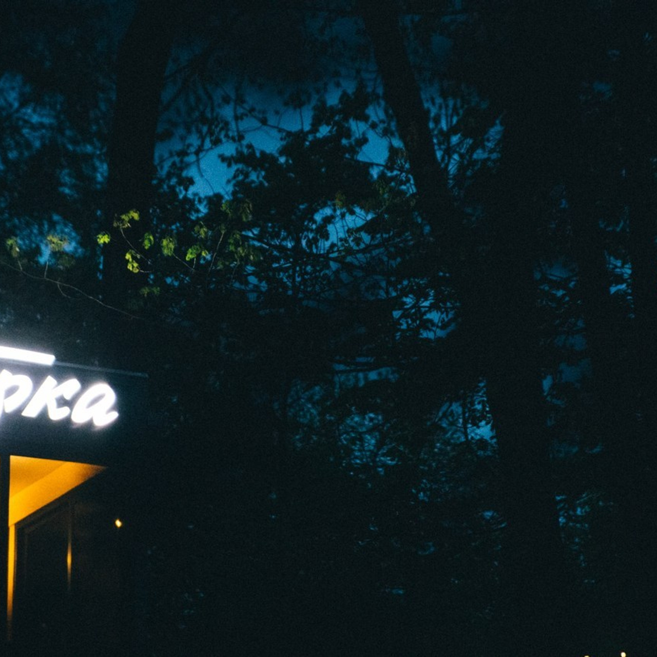 Отзывы. Свадебный и семейный фотограф в Воронеже Свиридова Евгения