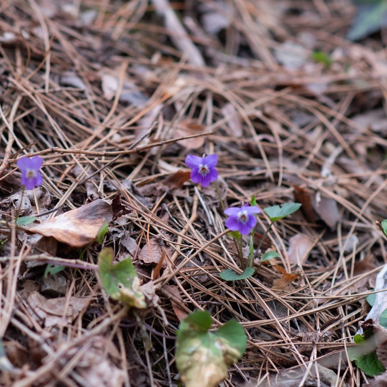 Отзывы. Выпускные альбомы в Севастополе, Крыму и Екатеринбурге
