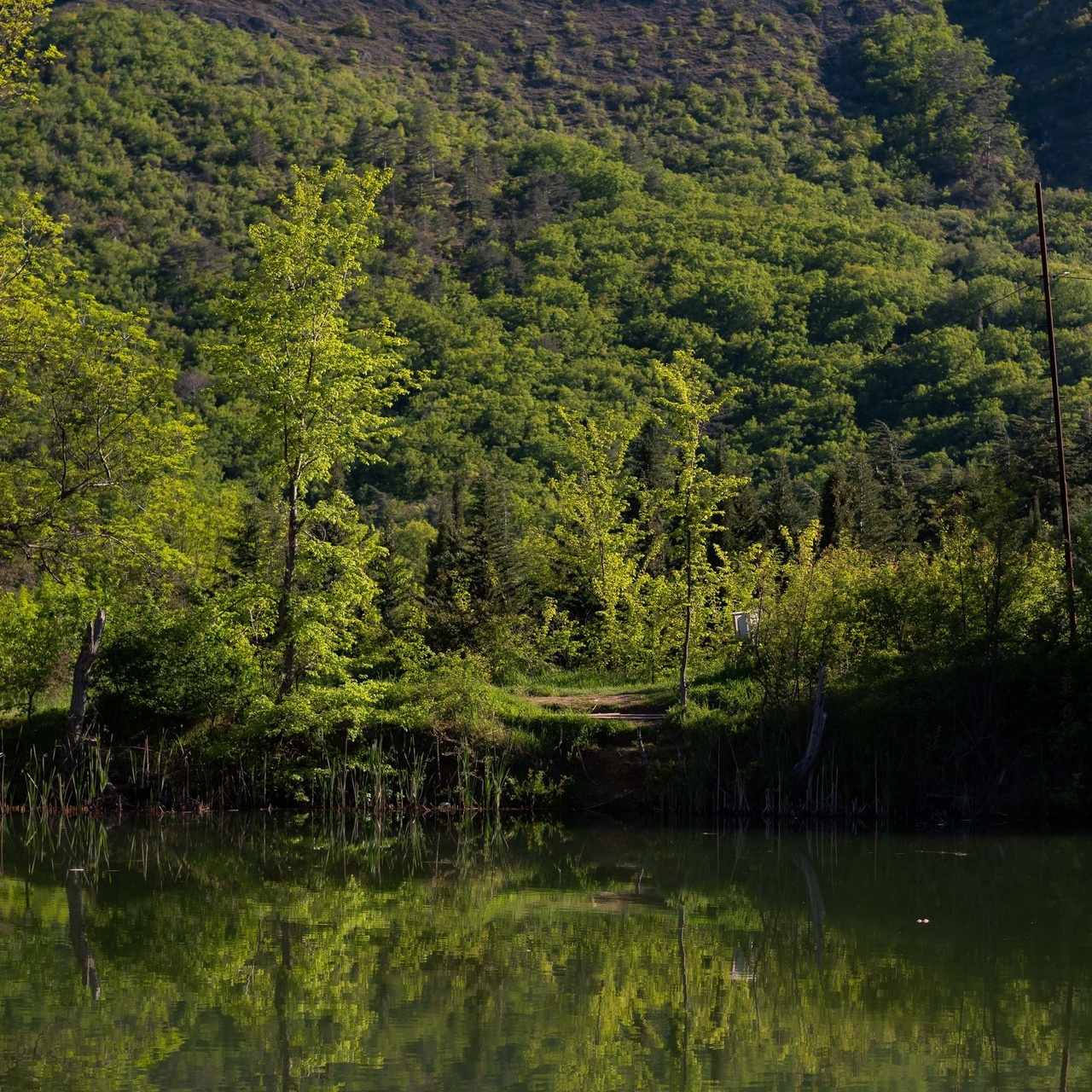 Отзывы. Выпускные альбомы в Севастополе, Крыму и Екатеринбурге