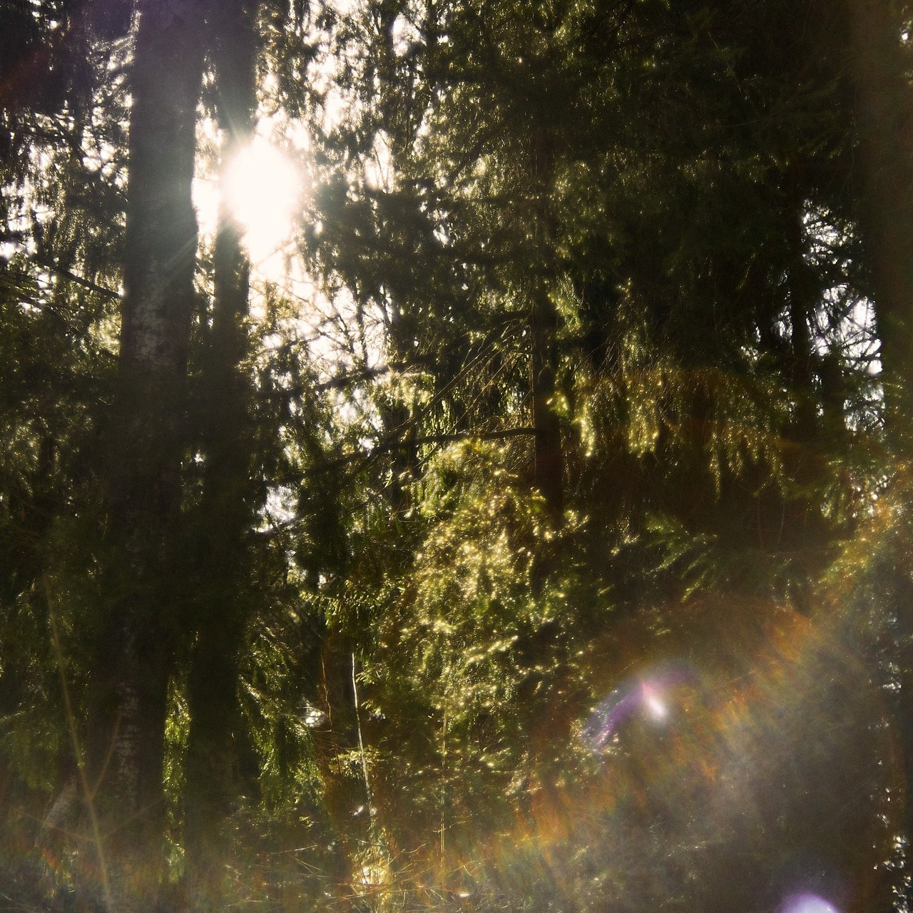 Отзывы. Фотограф в Нижнем Новгороде Yulia_Kuvshinka