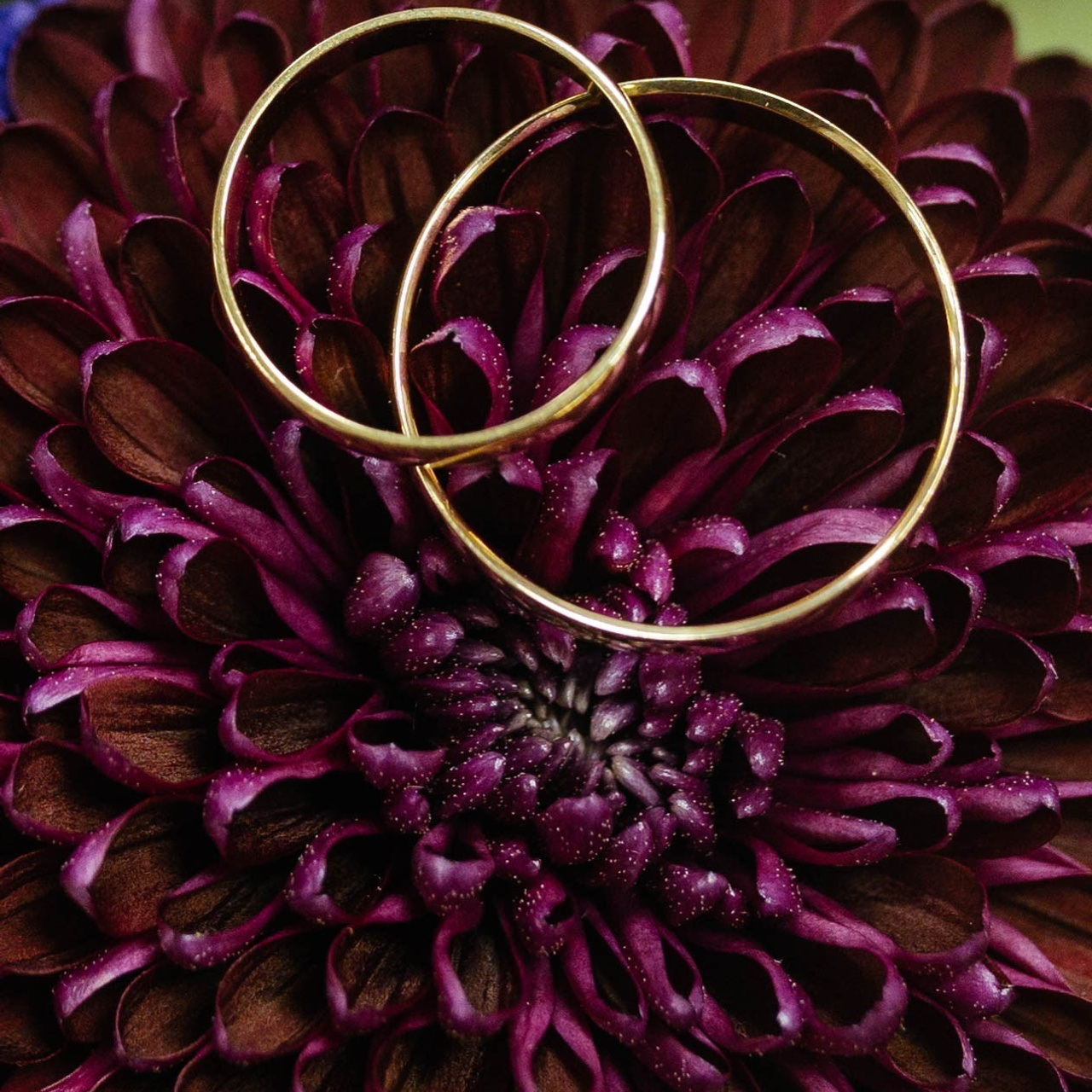 Отзывы свадебного фотографа Диана Румянцева. Свадебный фотограф Калуга Москва Диана Румянцева