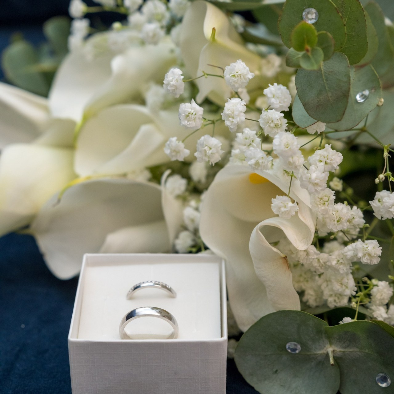 Отзывы. Семейный и контент фотограф в Москве Alira