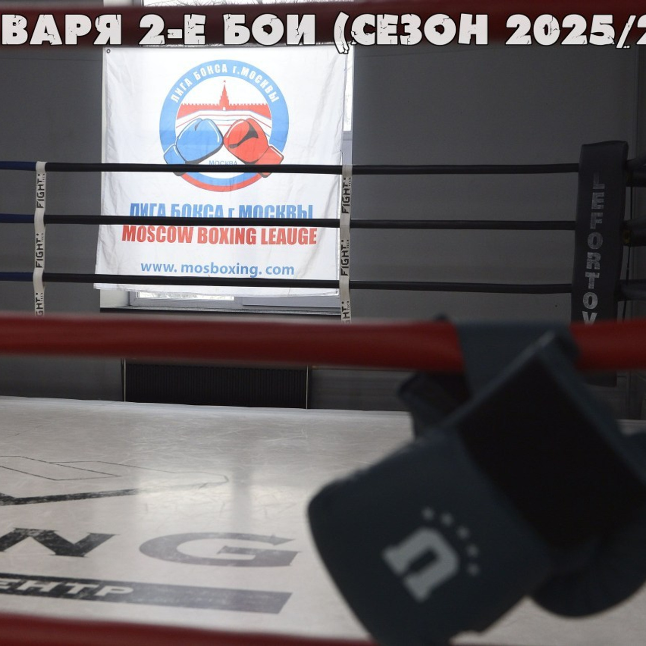 Отзывы. Safronov Ivan — a portrait photographer in Moscow